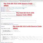 PIP CLUB EA V2.0 MQ4 ( Source code ) + SetFiles (1)