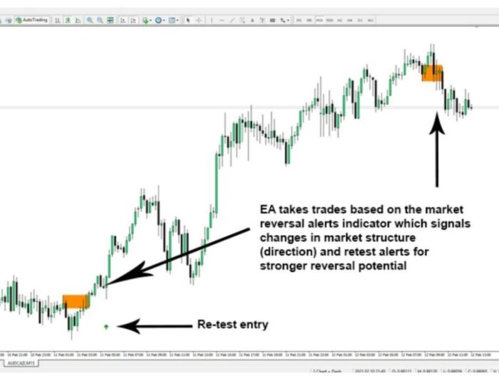 Market Reversal Alerts EA V5.10 MT4 (2)