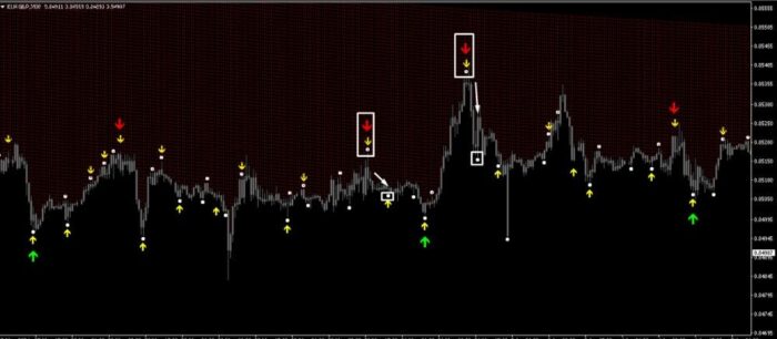 _MAX PAYNEX (2)