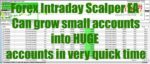 FX Intraday Scalper Robot EA - 1