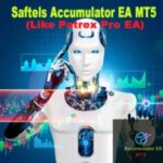 SAFTELS ACCUMULATOR EA