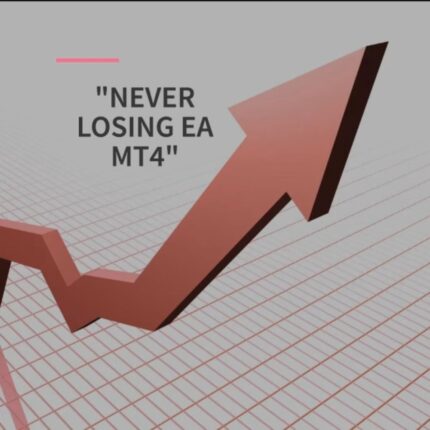NEVER LOSING EA