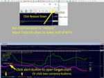 TICKUNIT SCALPER CURRENCY STRENGTH28 PRO (4)