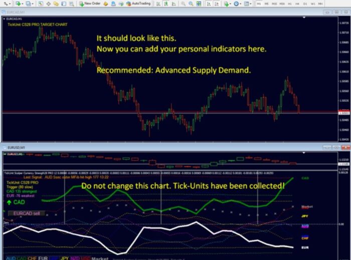 TICKUNIT SCALPER CURRENCY STRENGTH28 PRO (6)