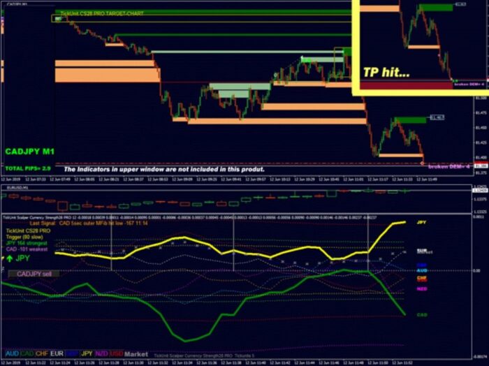 TICKUNIT SCALPER CURRENCY STRENGTH28 PRO (8)