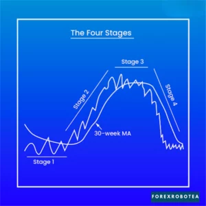 What is a Tweezer Bottom Pattern in Forex, How to Identify It, and How to Trade It (2)