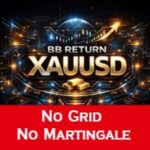 BB RETURN