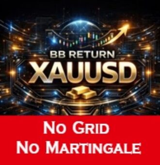 BB RETURN